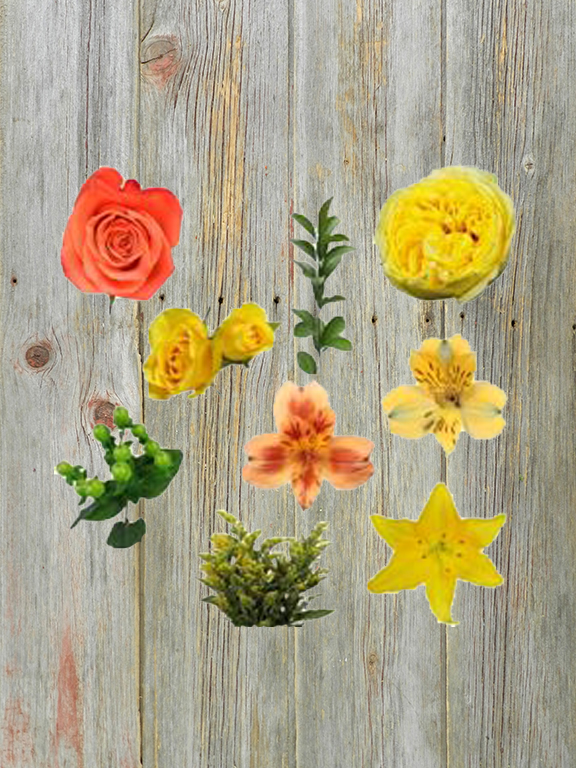 WENT TO THE MARKET FOR CITRUS PALETTE  FLOWERS